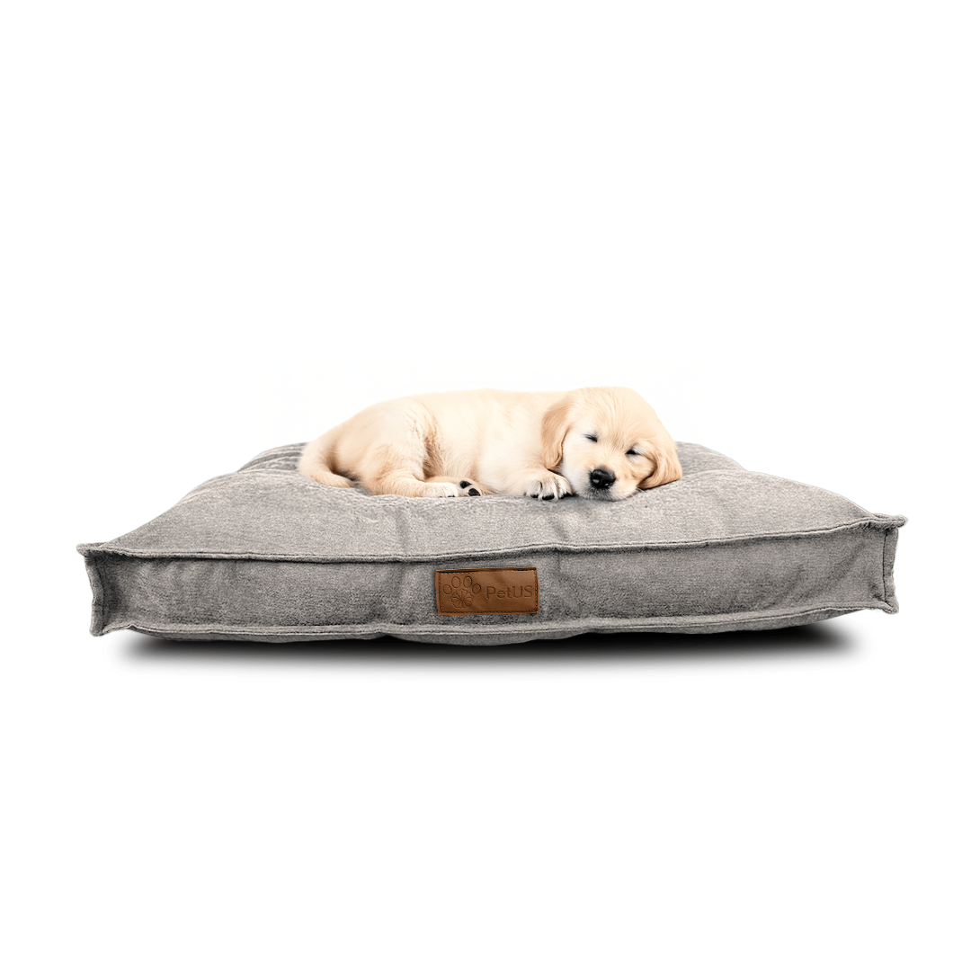 ☁Cloud Comfort✨ PetUS With Love - PetUS