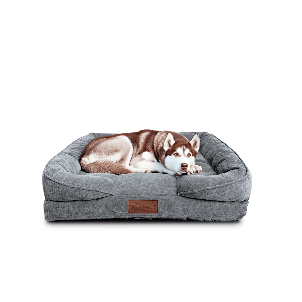 🛋️Sofá Cama✨ PetUS With Love - PetUS