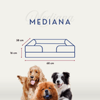🛋️Sofá Cama✨ PetUS With Love - PetUS