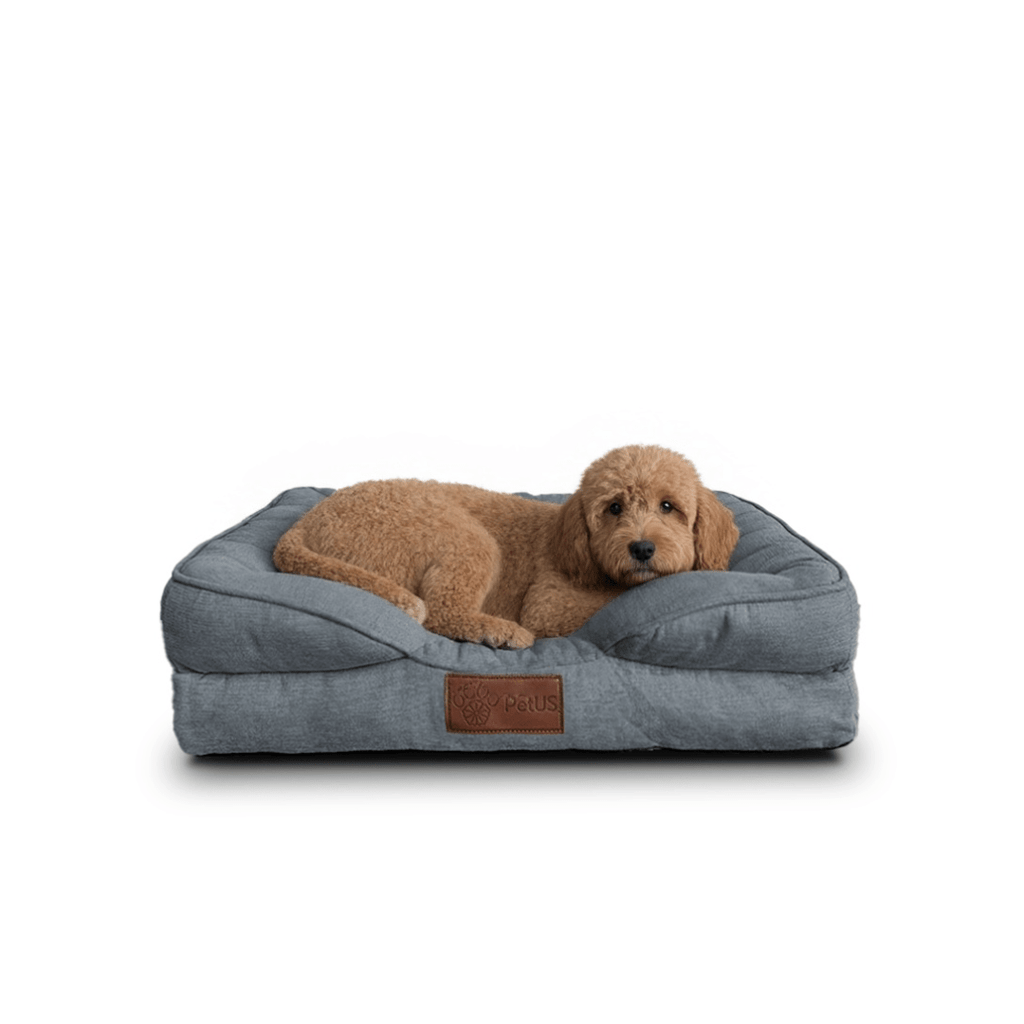 🛋️Sofá Cama✨ PetUS With Love - PetUS