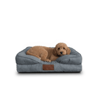 🛋️Sofá Cama✨ PetUS With Love - PetUS