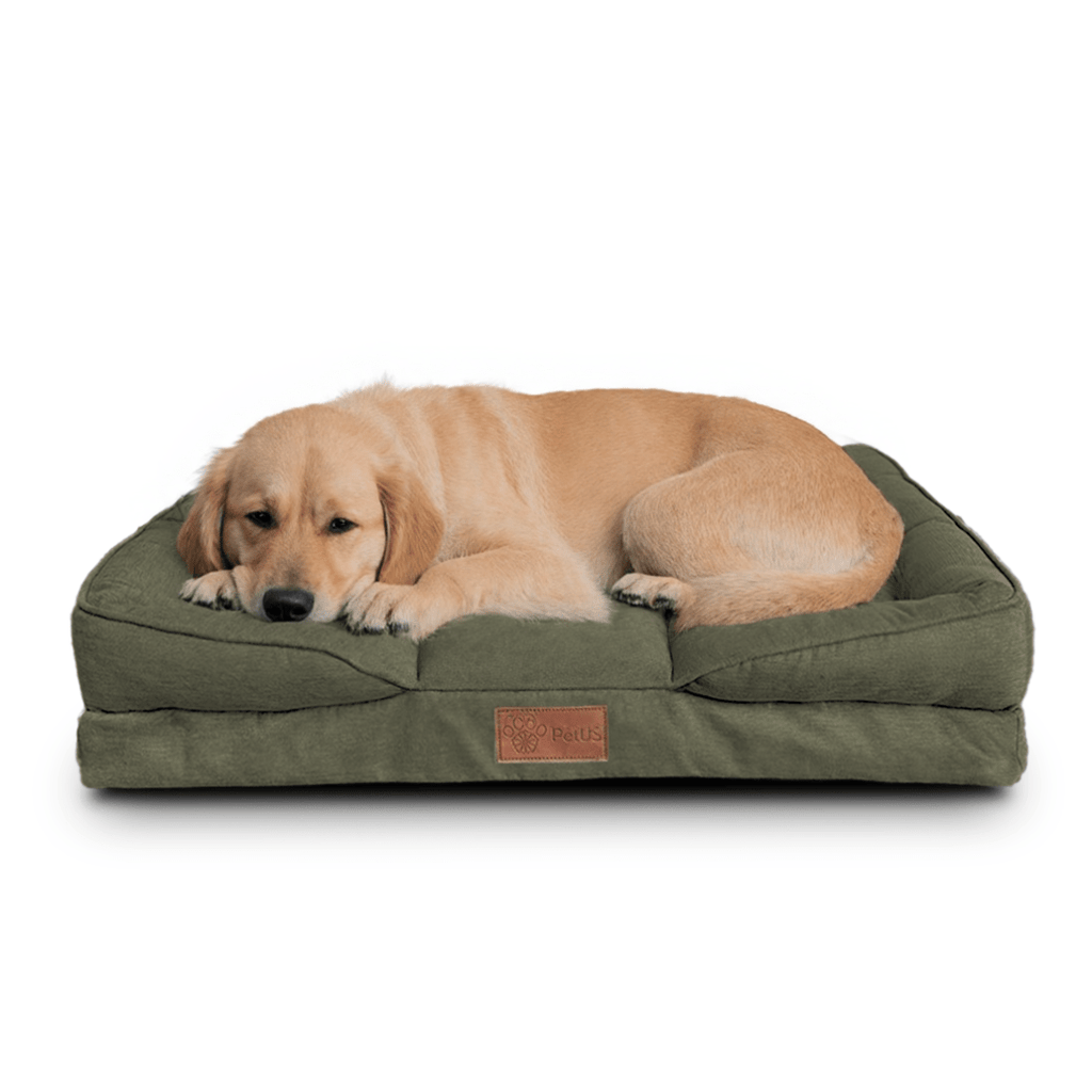 🛋️Sofá Cama✨ PetUS With Love - PetUS
