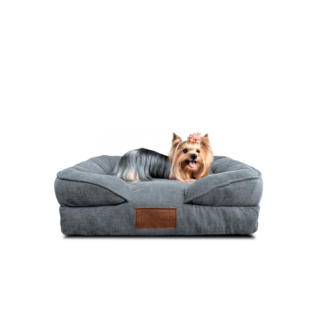 🛋️Sofá Cama✨ PetUS With Love - PetUS