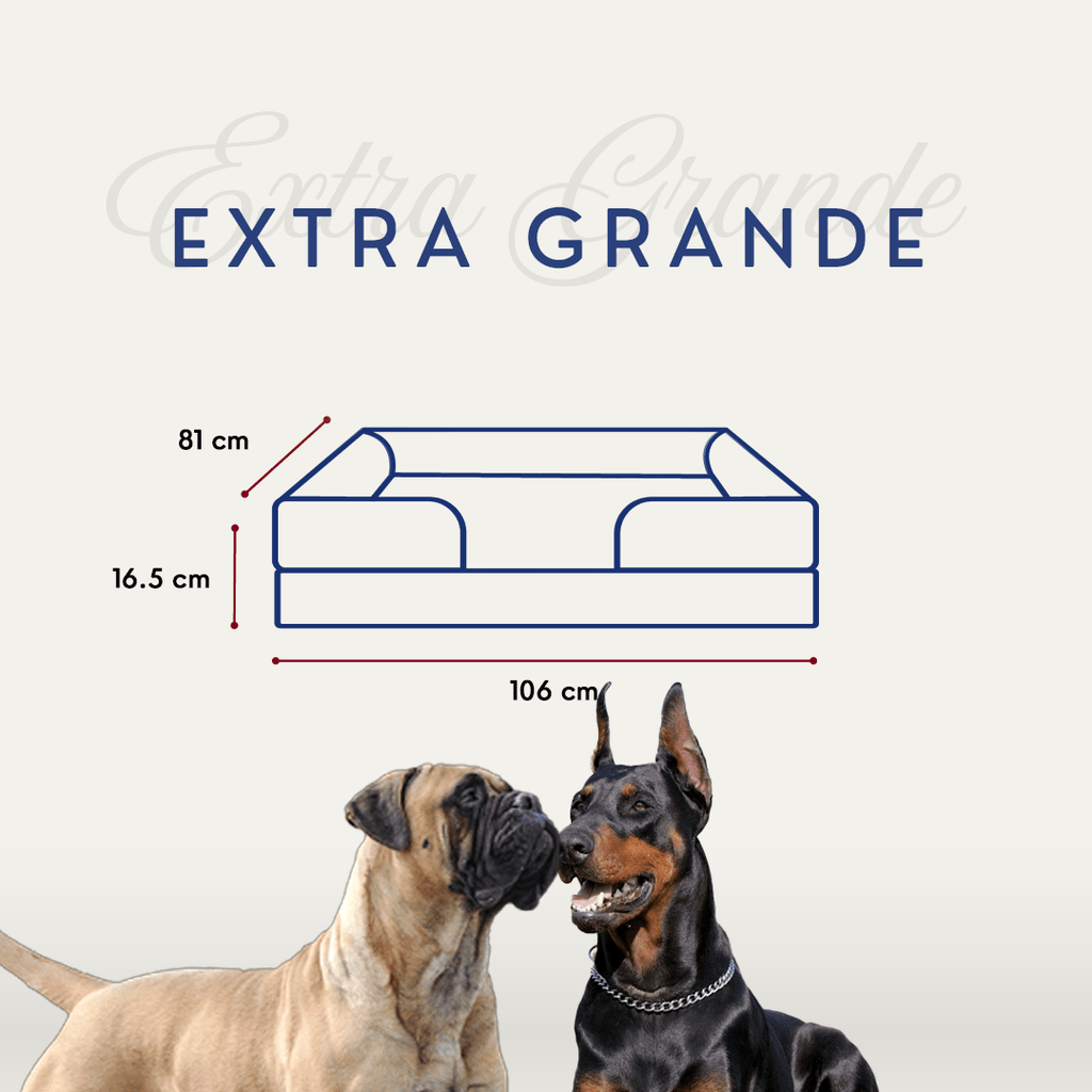 🛋️Sofá Cama✨ PetUS With Love - PetUS