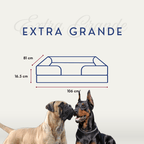 🛋️Sofá Cama✨ PetUS With Love - PetUS