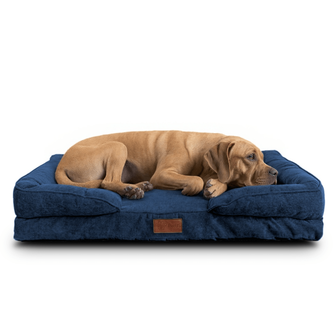 🛋️Sofá Cama✨ PetUS With Love - PetUS