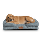 🛋️Sofá Cama✨ PetUS With Love - PetUS