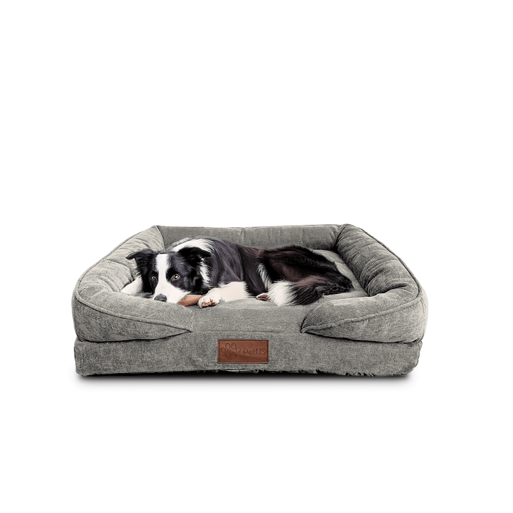 🛋️Sofá Cama✨ PetUS With Love - PetUS
