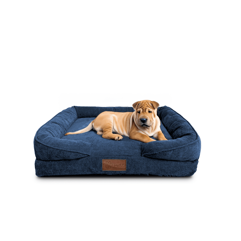 🛋️Sofá Cama✨ PetUS With Love - PetUS