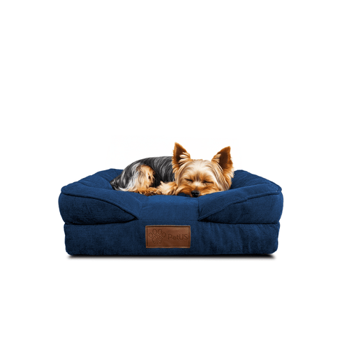 🛋️Sofá Cama✨ PetUS With Love - PetUS