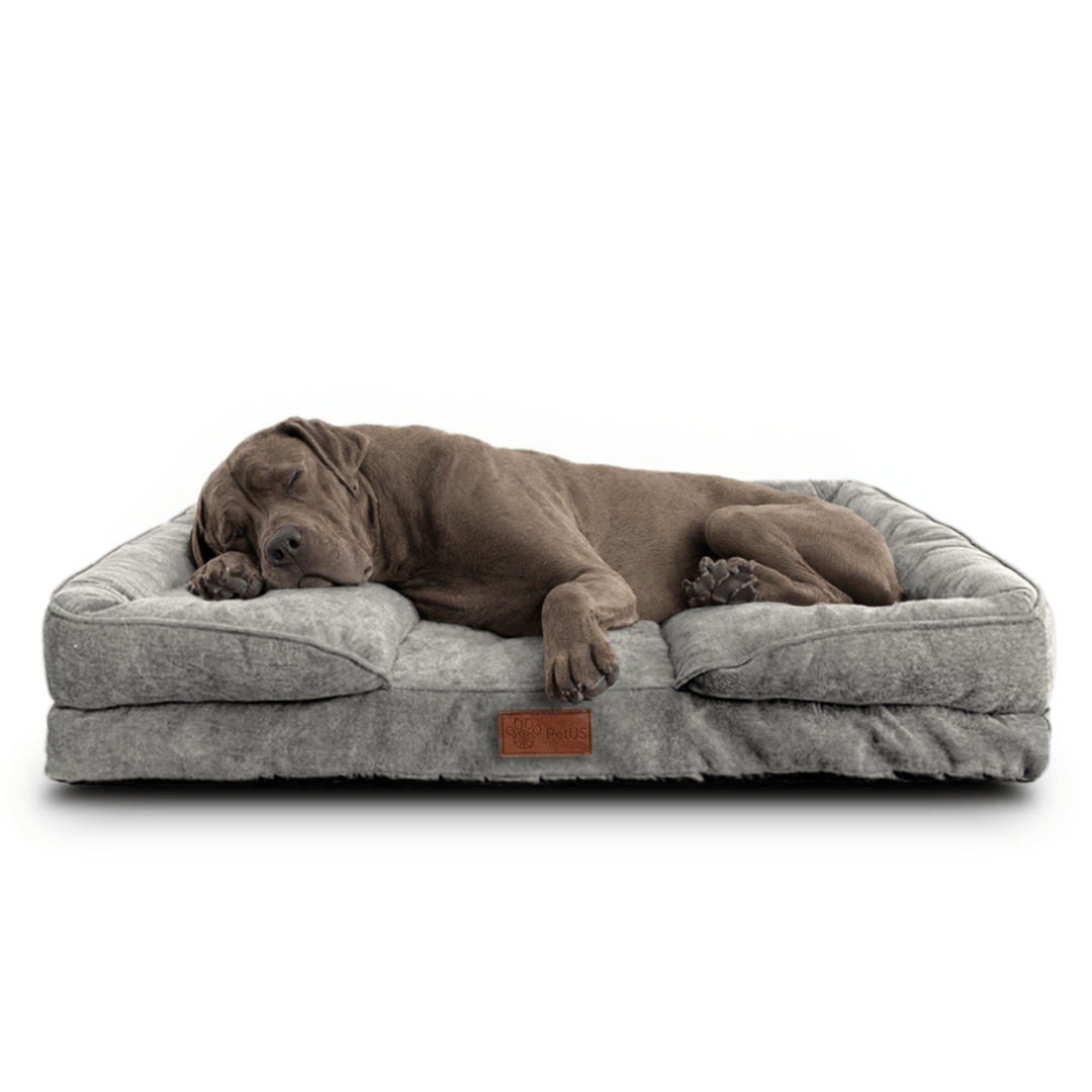 🛋️Sofá Cama✨ PetUS With Love - PetUS