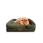 🛋️Sofá Cama✨ PetUS With Love - PetUS
