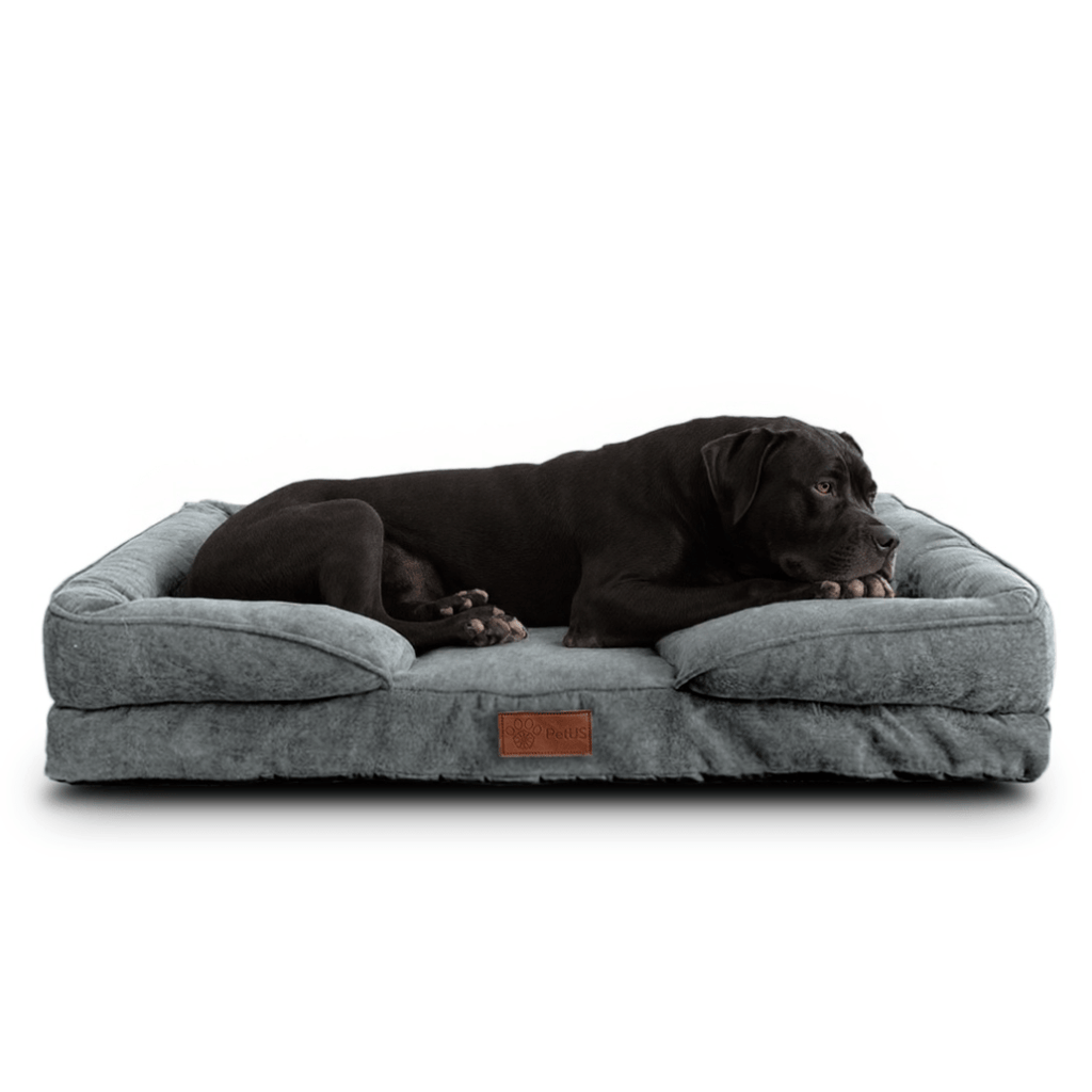 🛋️Sofá Cama✨ PetUS With Love - PetUS