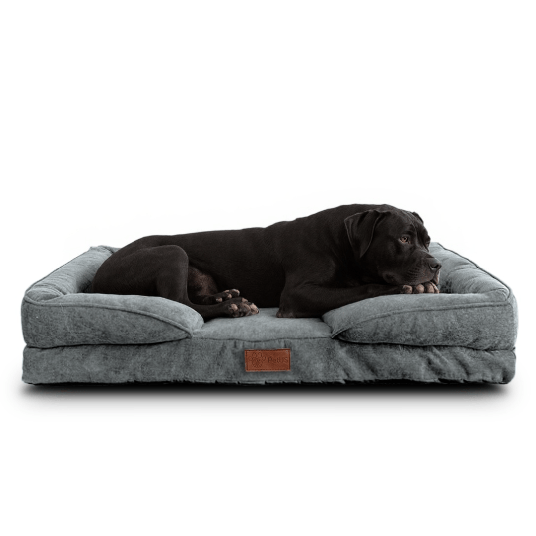 🛋️Sofá Cama✨ PetUS With Love - PetUS