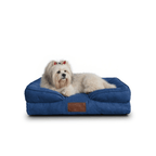 🛋️Sofá Cama✨ PetUS With Love - PetUS