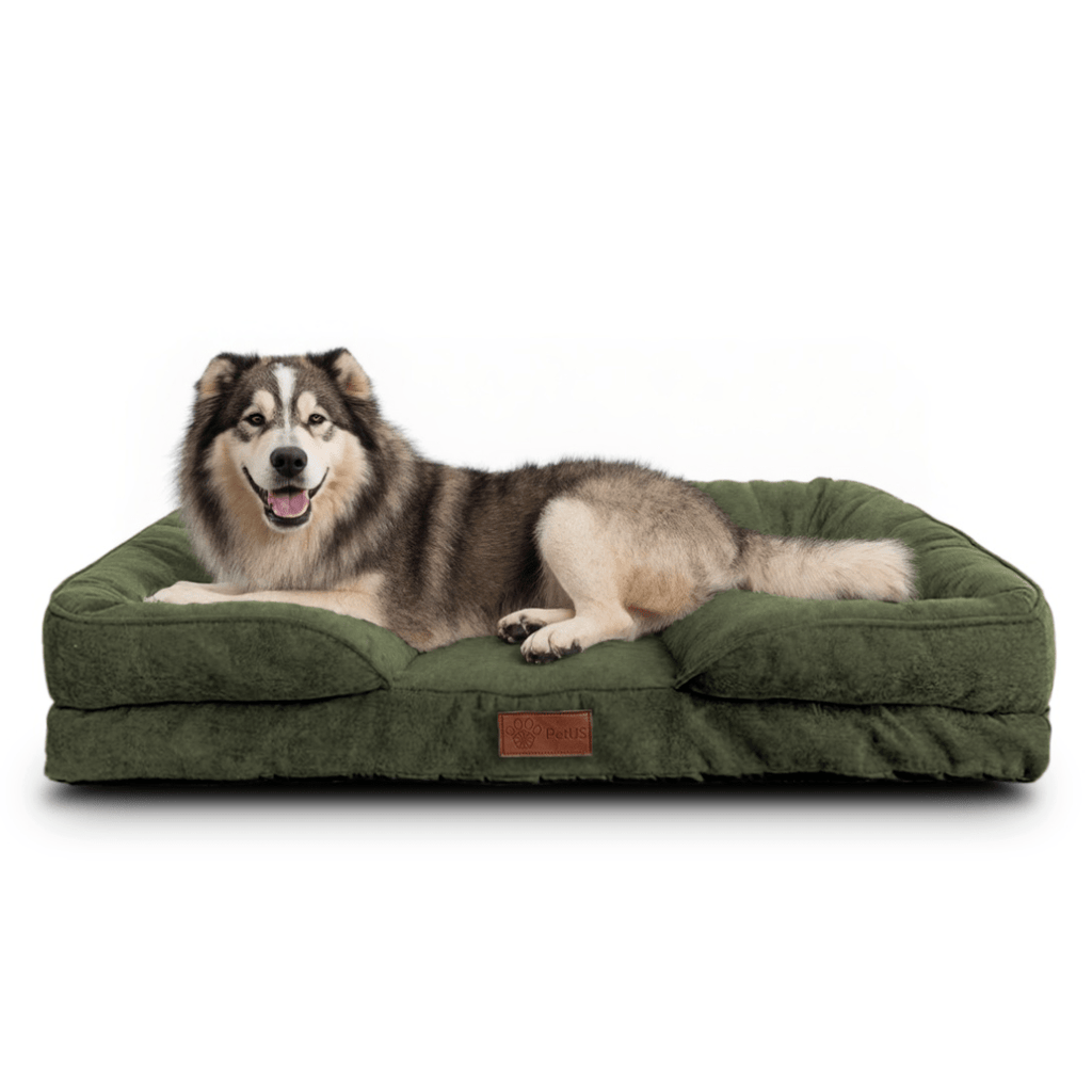 🛋️Sofá Cama✨ PetUS With Love - PetUS