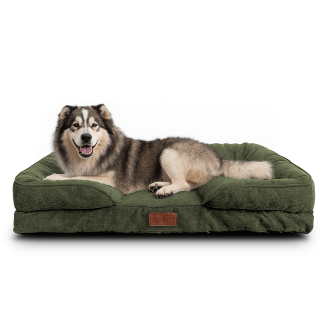 🛋️Sofá Cama✨ PetUS With Love - PetUS