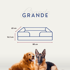 🛋️Sofá Cama✨ PetUS With Love - PetUS