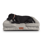 🛋️Sofá Cama✨ PetUS With Love - PetUS