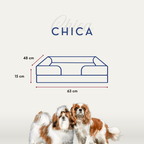 🛋️Sofá Cama✨ PetUS With Love - PetUS