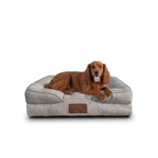 🛋️Sofá Cama✨ PetUS With Love - PetUS