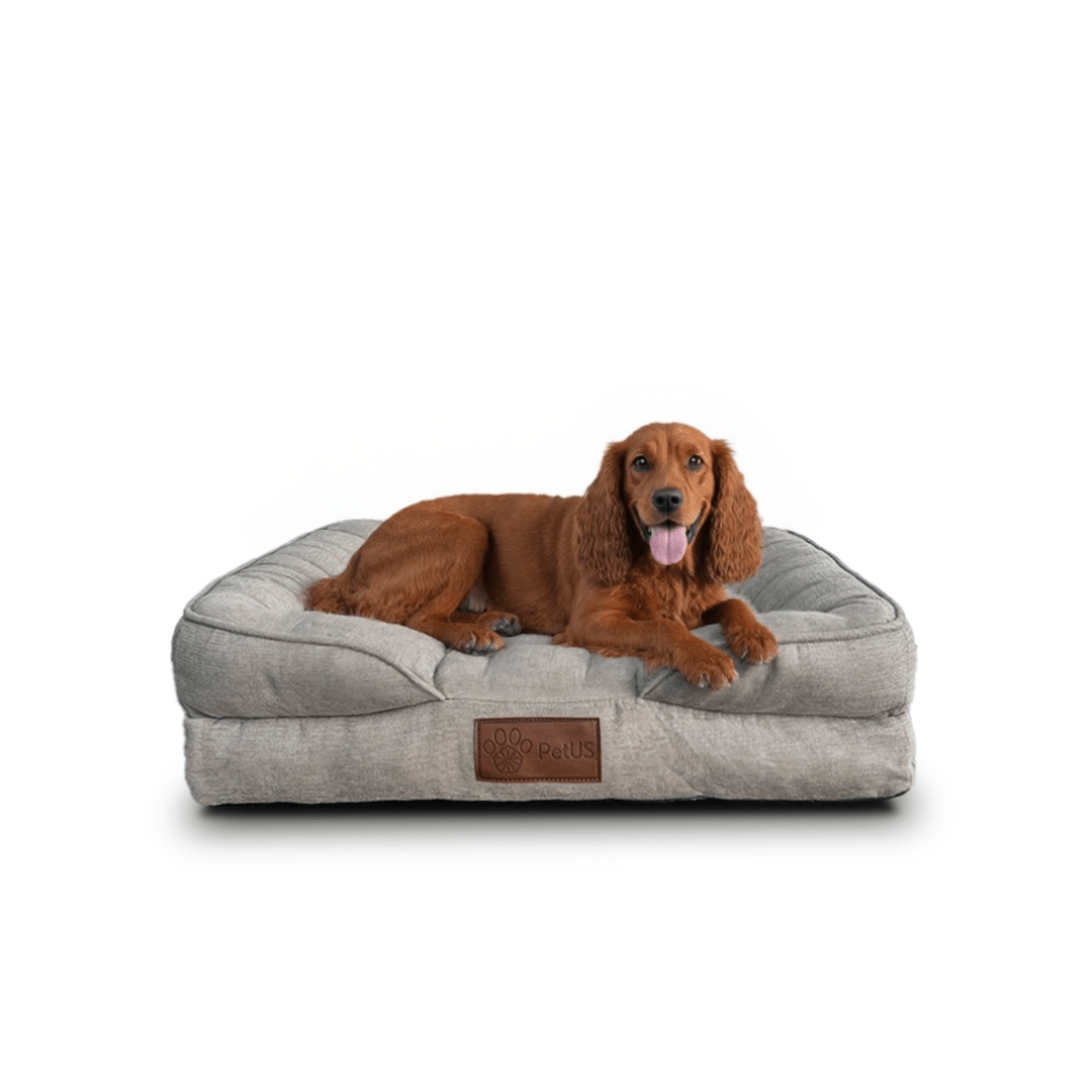🛋️Sofá Cama✨ PetUS With Love - PetUS